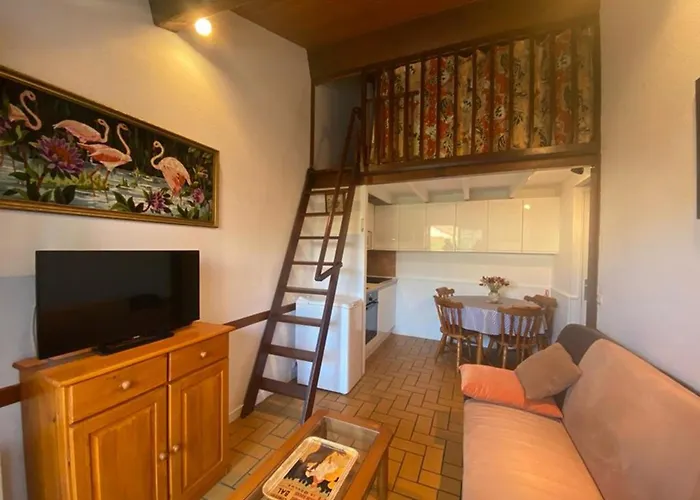 Patio Cosy A Capbreton, Proche Port Et Centre, Avec Grande Terrasse Et Parking Prive - Fr-1-413-233 *